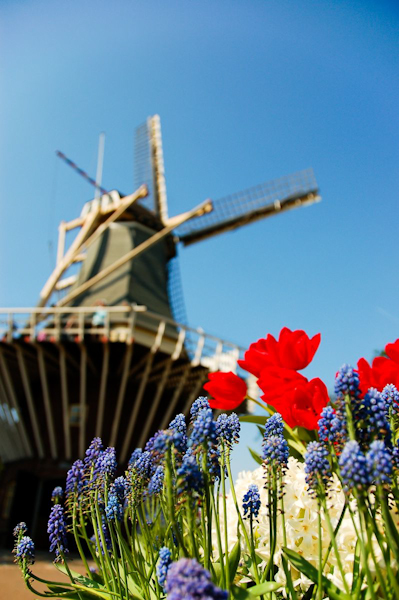 Truly Holland