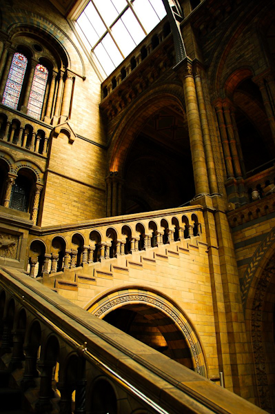 Natural History Musuem, London