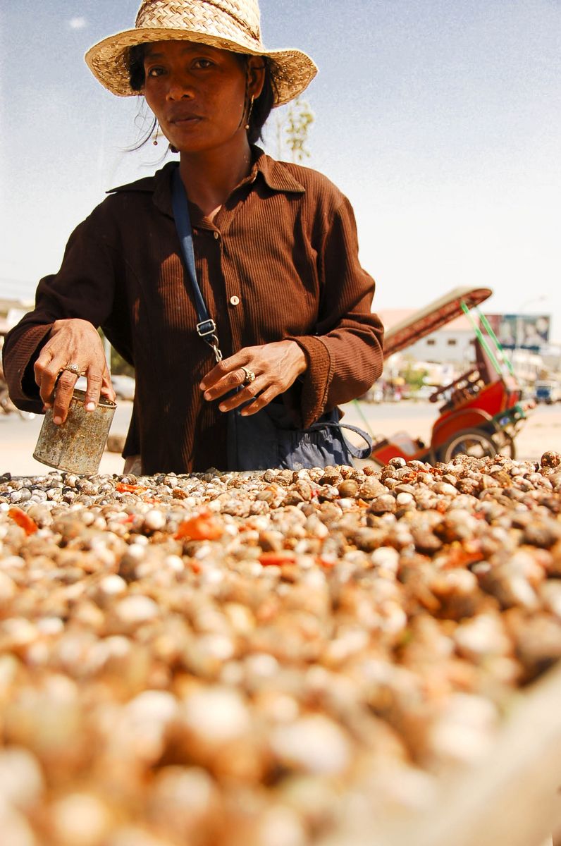 She sells seashells, Cambodia