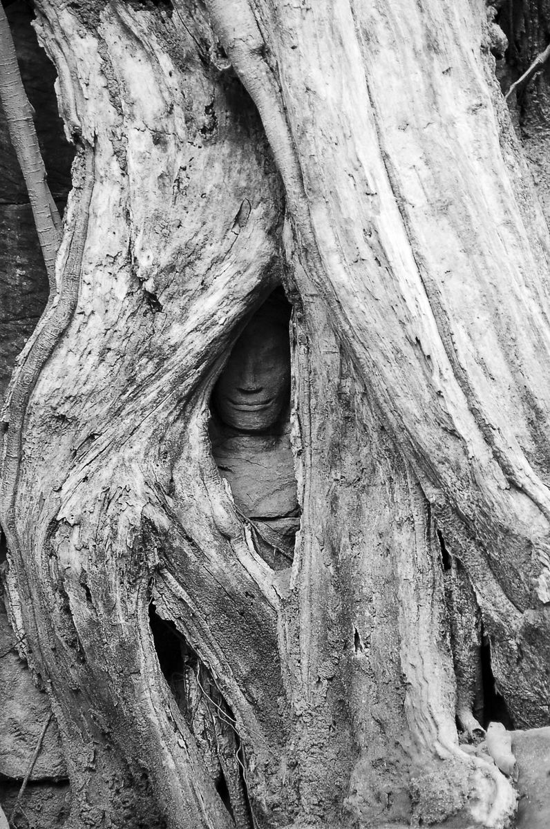 Hidden, Cambodia