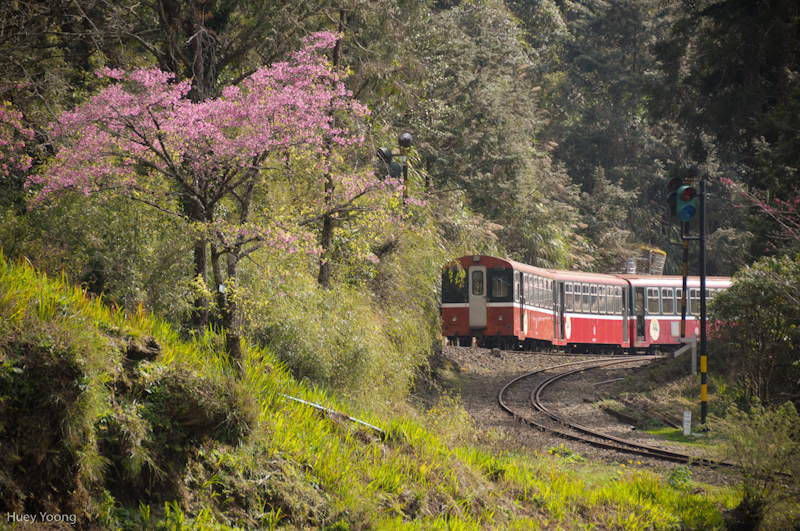Alishan railway
