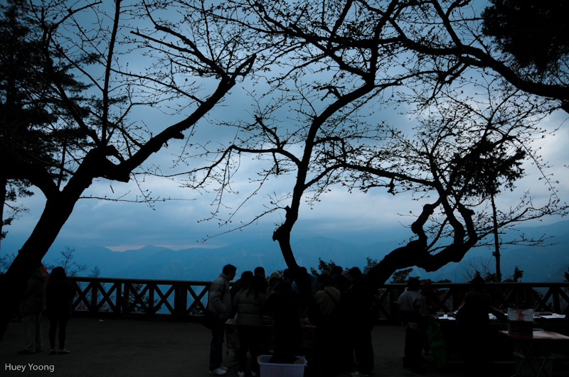 Awaiting sunrise