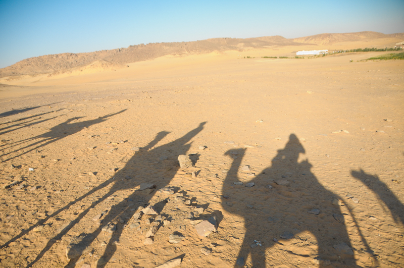 Sahara