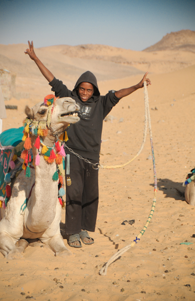 Camel boy at Aswan